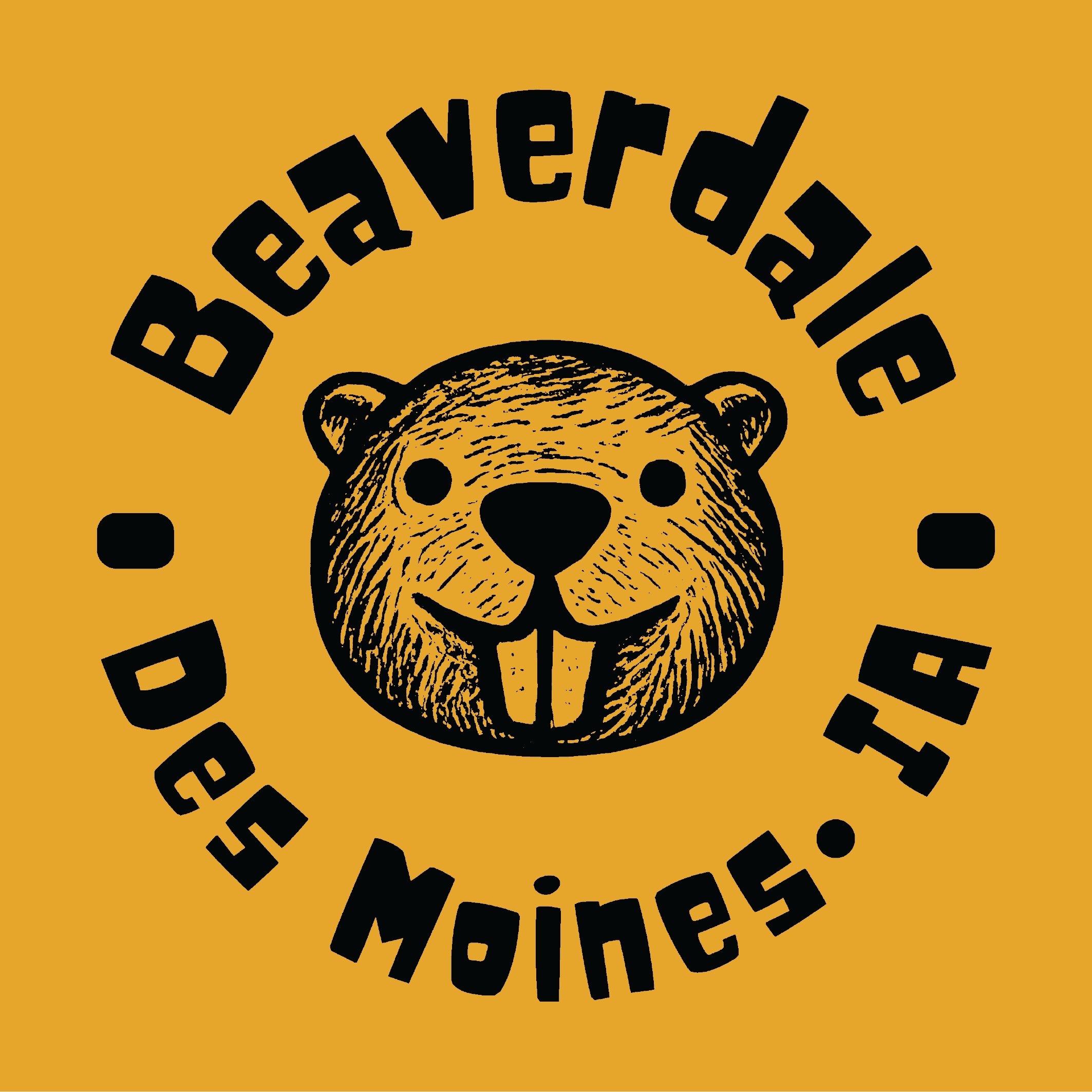 "BNA BEAVER DSM, IA"