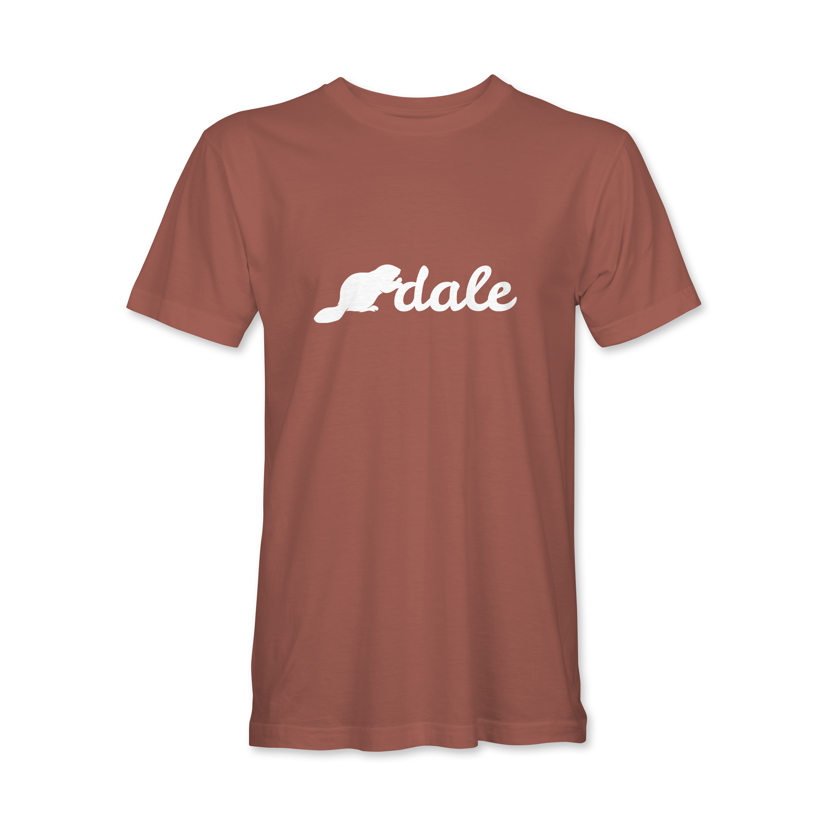 "BNA DALE" Bella + Canvas CVC Unisex Jersey Tee - 3001CVC