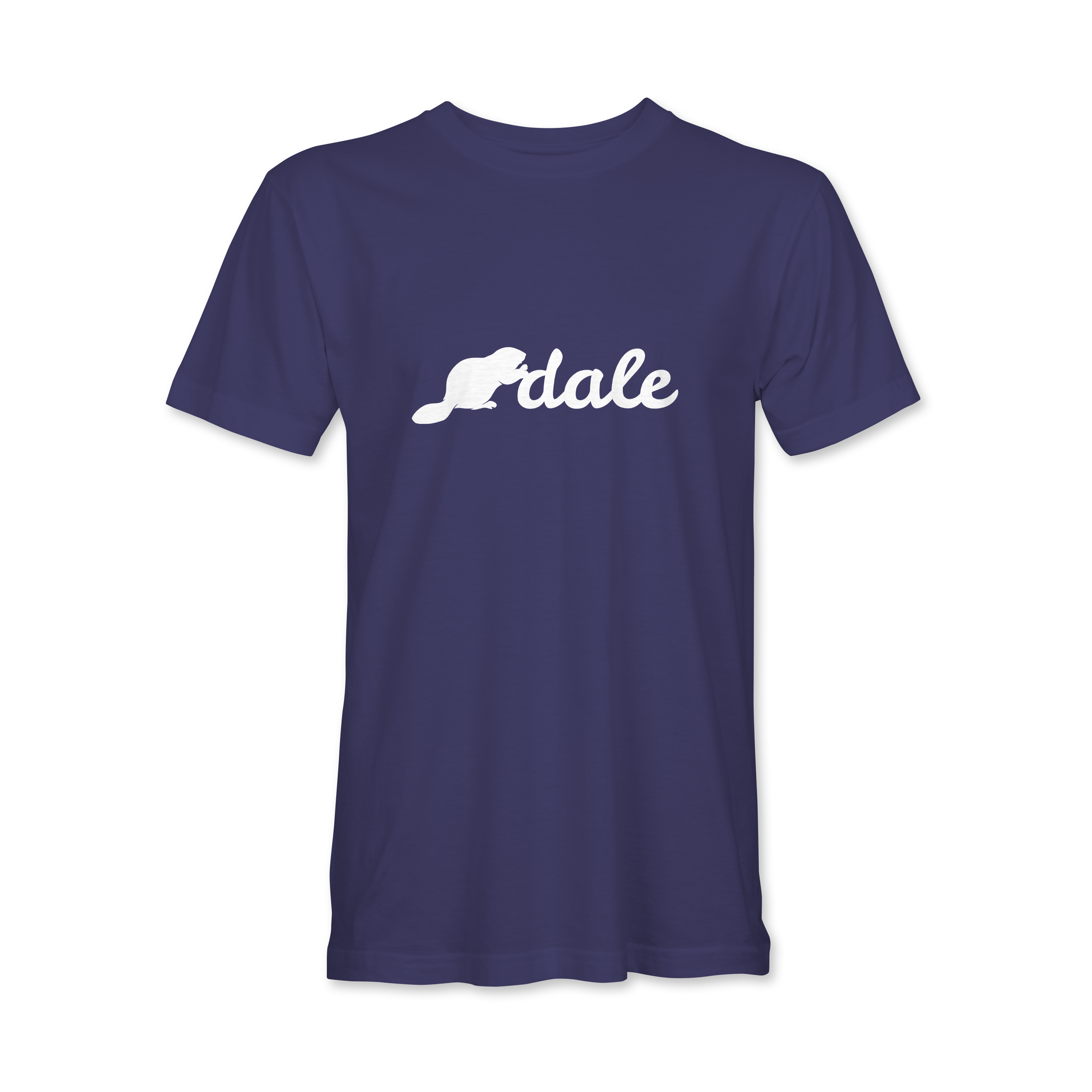 "BNA DALE" Bella + Canvas CVC Unisex Jersey Tee - 3001CVC