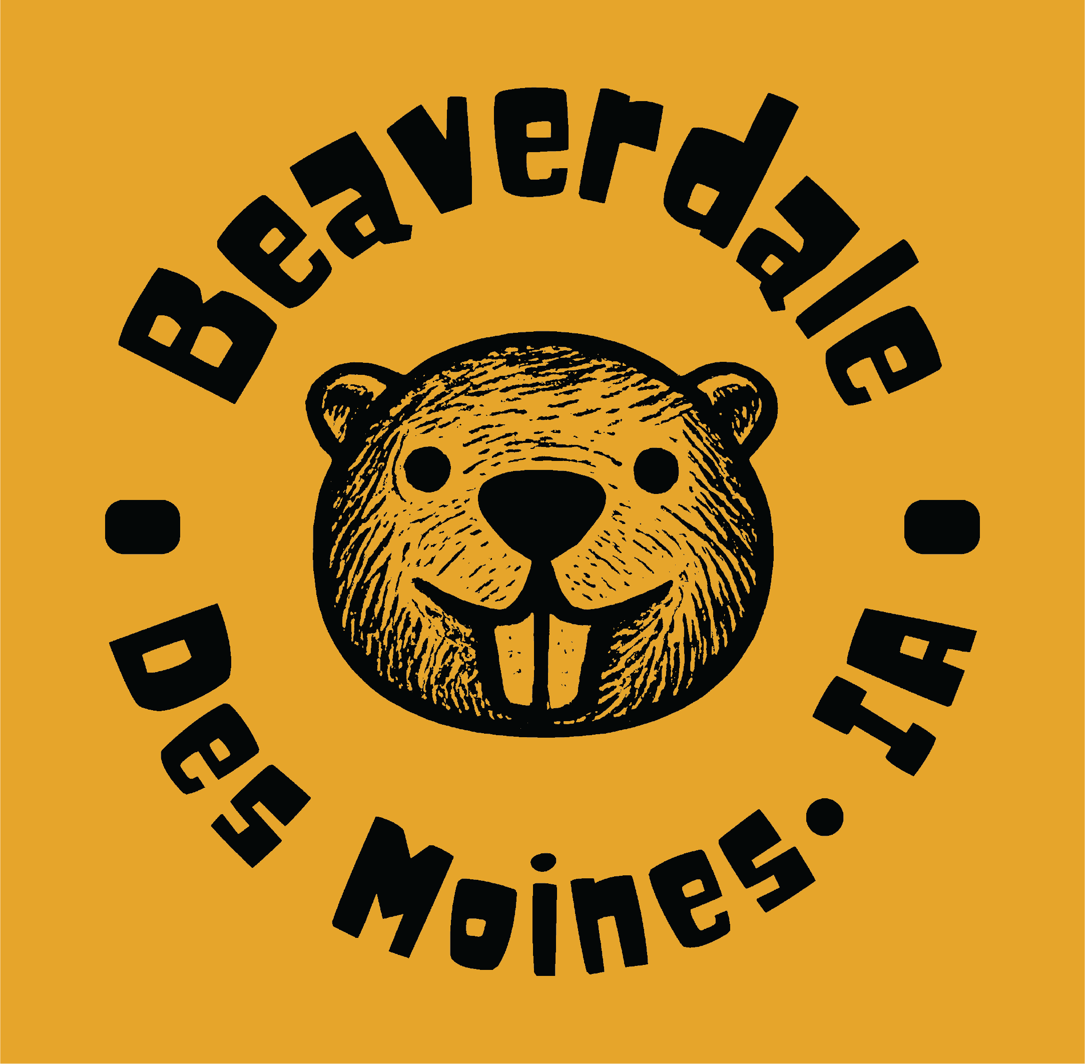 "BNA BEAVER DSM, IA"